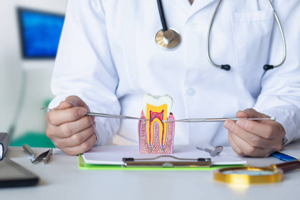 Best Urgent Care for Lost Fillings or Crowns in Merchantville, NJ